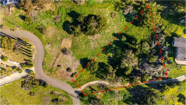 a view of a flower pot