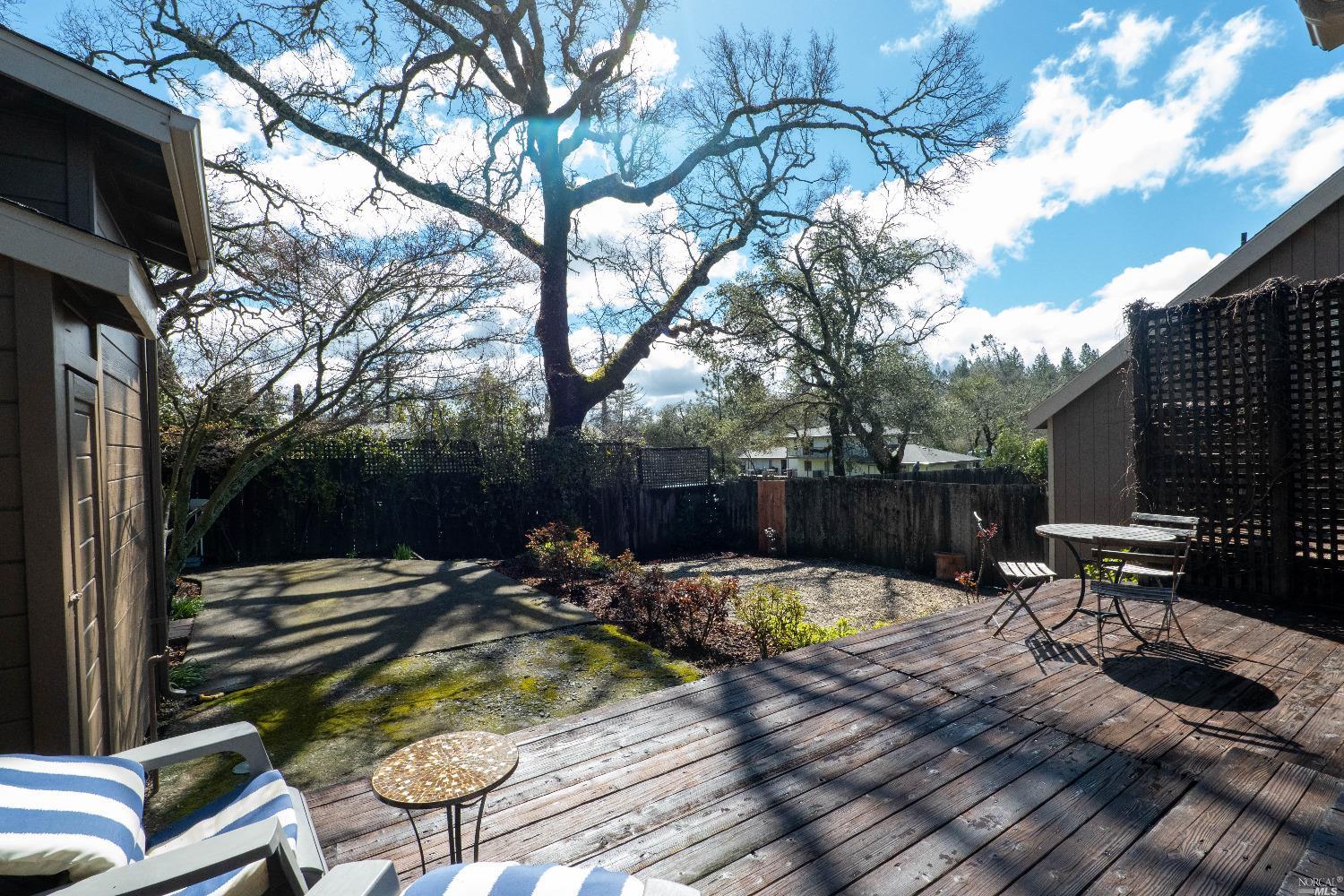 a view of swimming pool with chairs and a tree