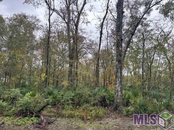 $71,500 | 6 B Prince Road, St. Amant, LA 70774