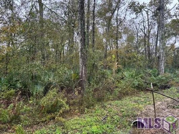 $71,500 | 6 B Prince Road, St. Amant, LA 70774
