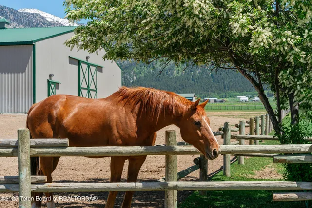 $2,850,000 | 86 Hawks Rest Road, Etna, WY 83118