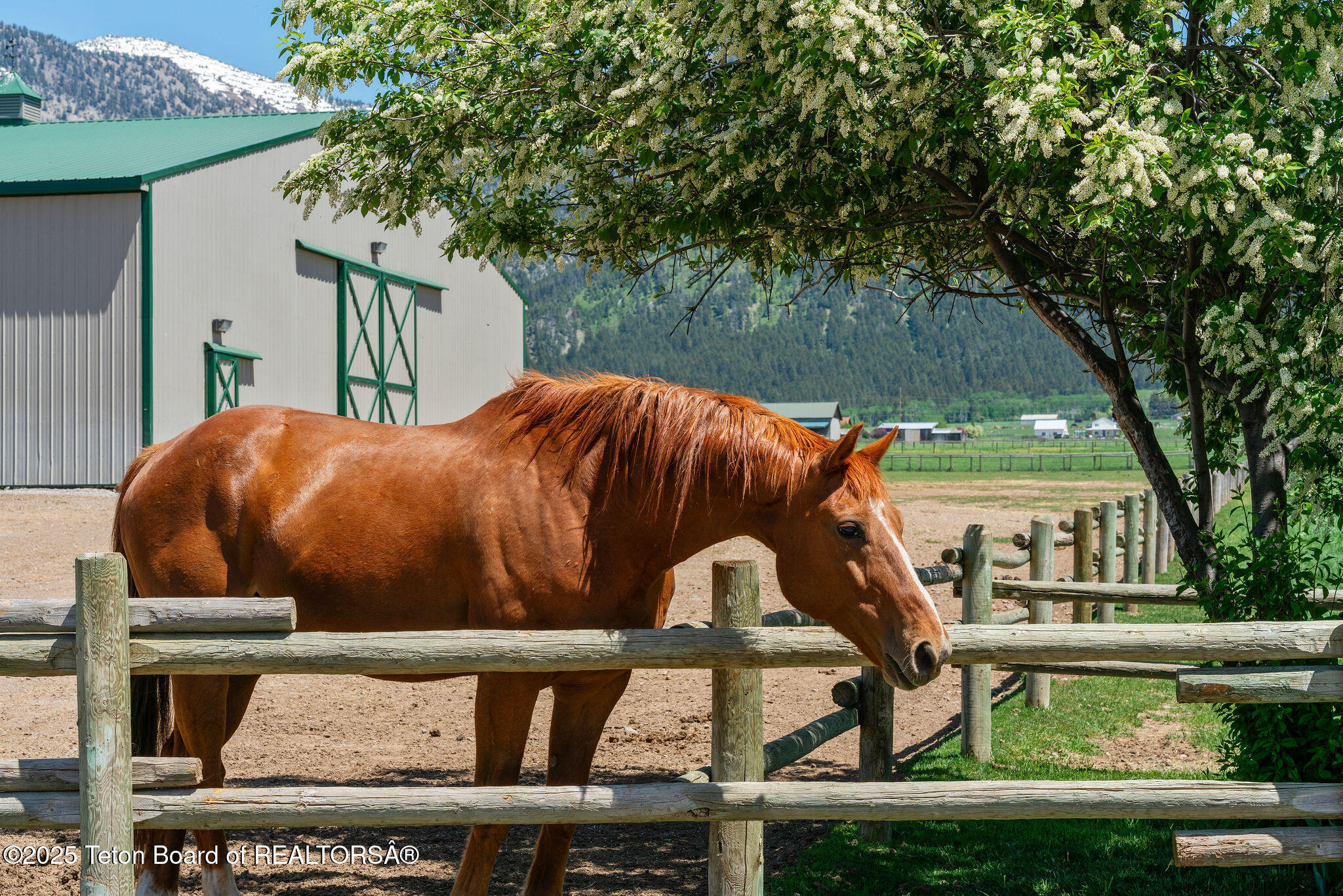 86 Hawks Rest Road Etna, WY 83118 - Photo 18 of 72 _DSC9097