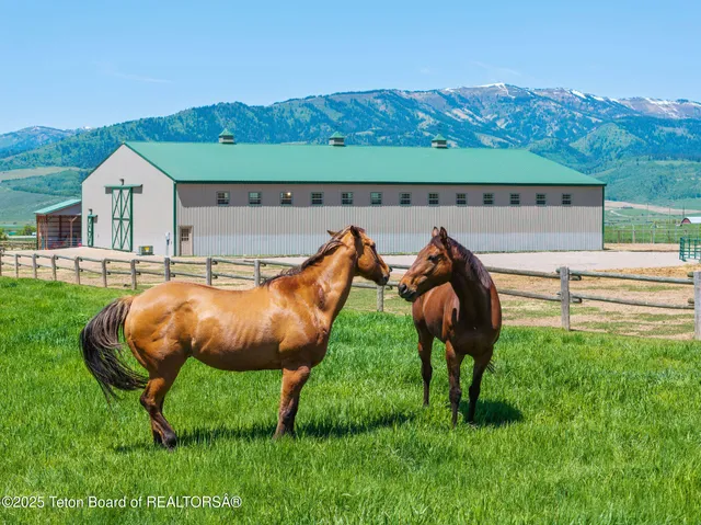 $2,850,000 | 86 Hawks Rest Road, Etna, WY 83118