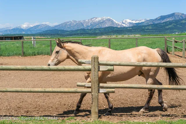 $2,850,000 | 86 Hawks Rest Road, Etna, WY 83118