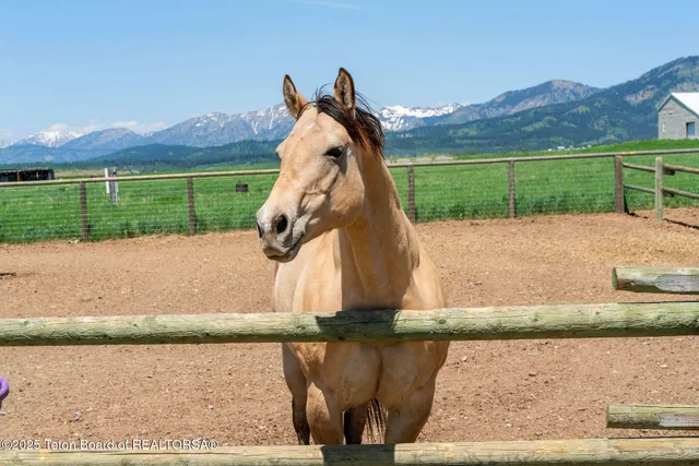 $2,850,000 | 86 Hawks Rest Road, Etna, WY 83118