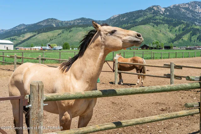 $2,850,000 | 86 Hawks Rest Road, Etna, WY 83118