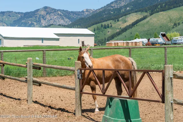 $2,850,000 | 86 Hawks Rest Road, Etna, WY 83118