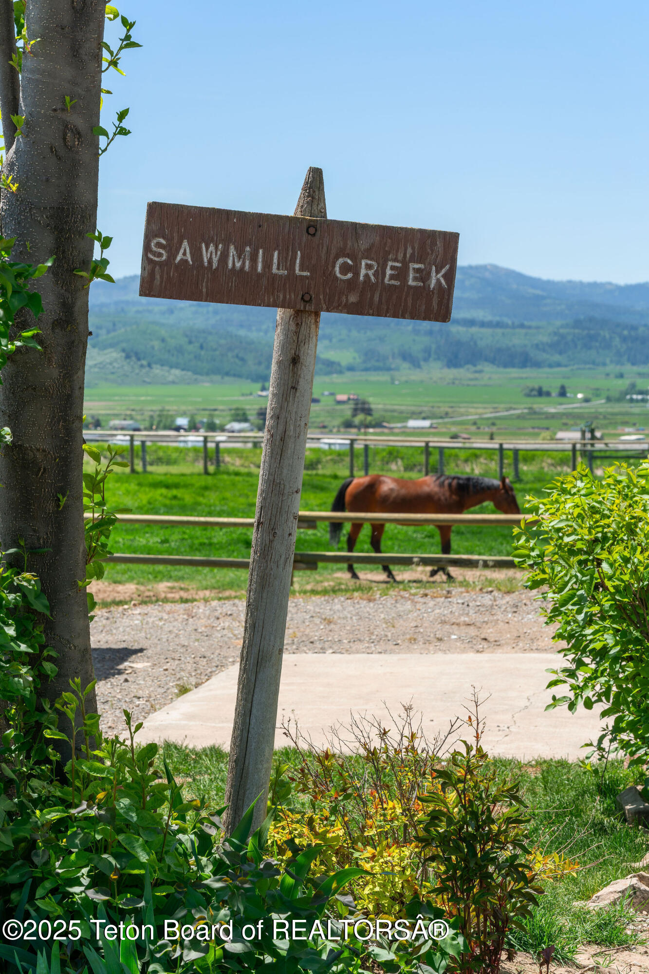 86 Hawks Rest Road Etna, WY 83118 - Photo 52 of 72 _DSC9102