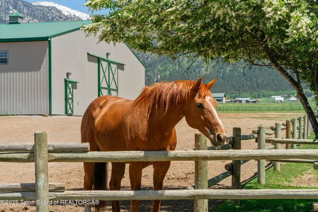 $2,850,000 | 86 Hawks Rest Road, Etna, WY 83118
