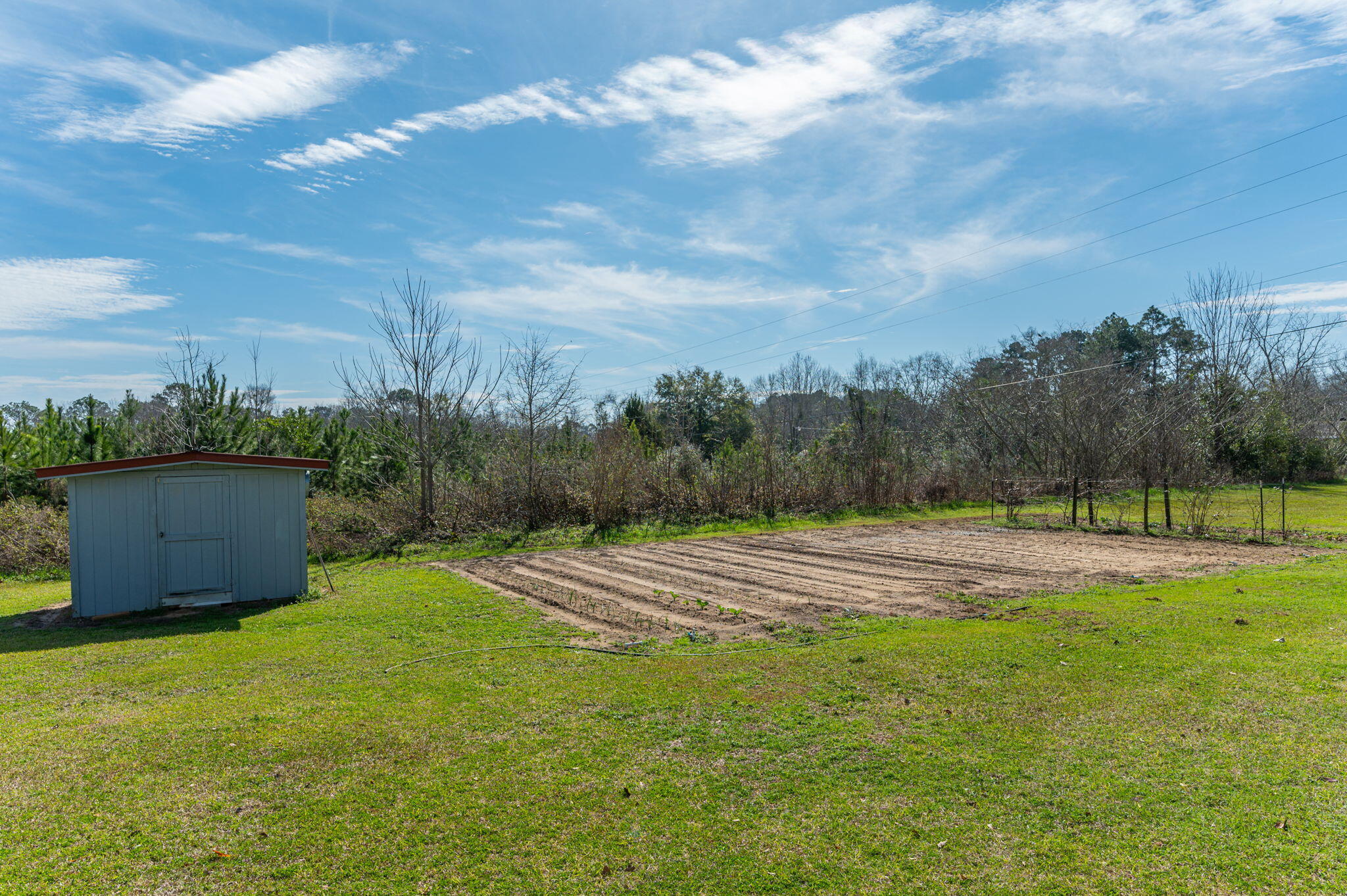 2288 Caton Road Florala, AL 36442 - Photo 36 of 47 a view of a backyard