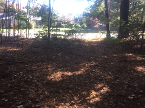 0 Lee Road South Deerfield, MA 01373 - Photo 4 of 9 Gallery Image 4