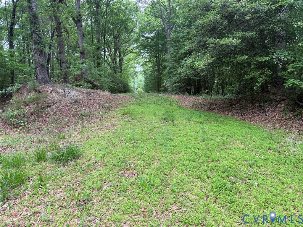 0 Steel Trap Road New Kent, VA 23124 - Photo 2 of 2 a big yard with lots of green space and deers