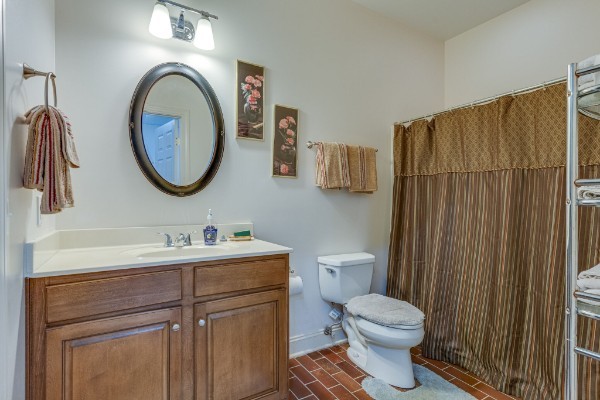 4664 New Cut Road Greenbrier, TN 37073 - Photo 34 of 85 a bathroom with a toilet a sink and a mirror