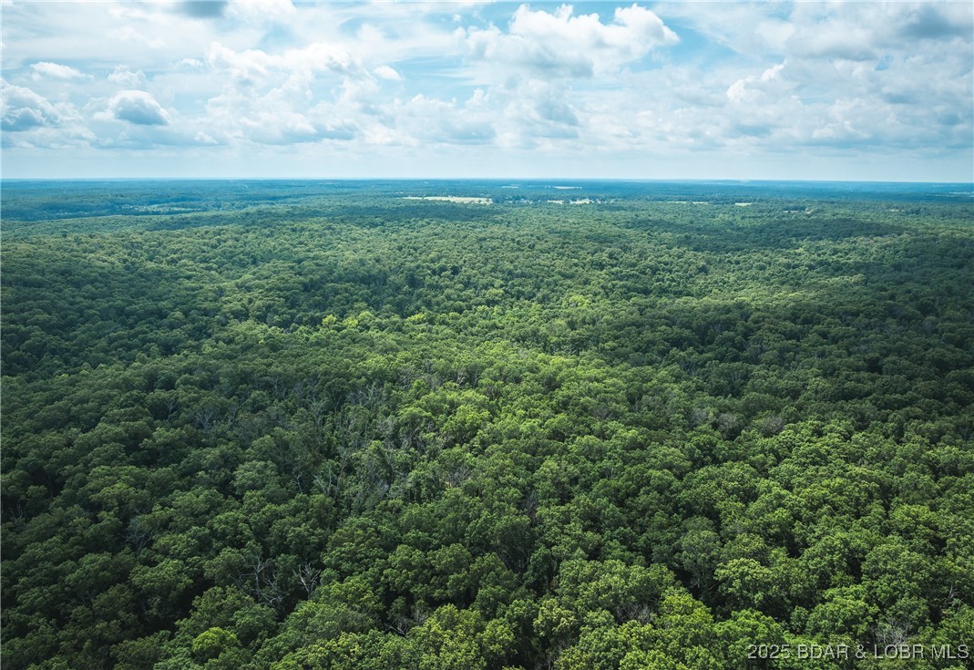 Springs-tract 1 Macks Creek Macks Creek, MO 65786 - Photo 11 of 24
