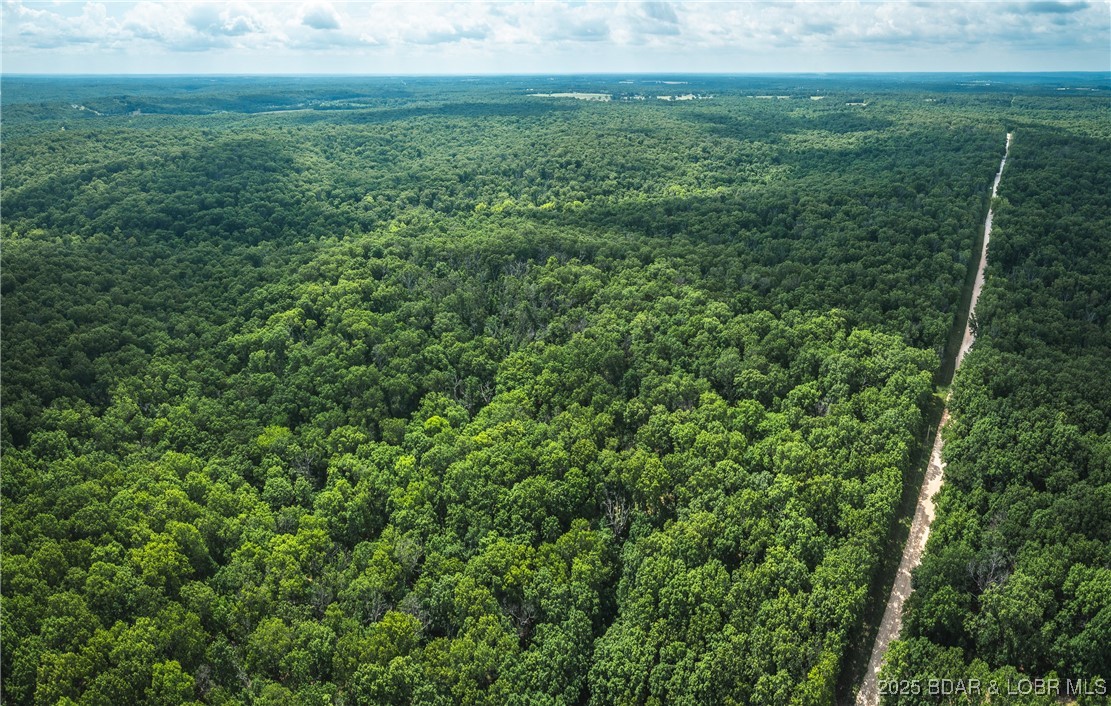 Springs-tract 1 Macks Creek Macks Creek, MO 65786 - Photo 12 of 24