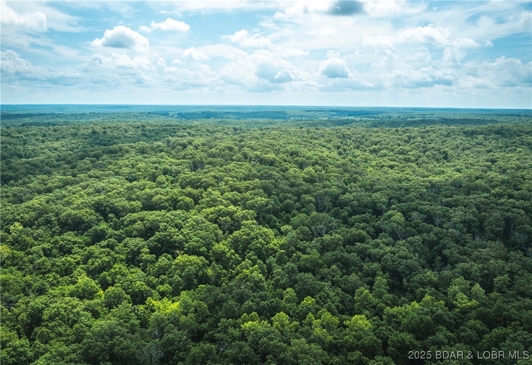 Springs-tract 1 Macks Creek Macks Creek, MO 65786 - Photo 13 of 24