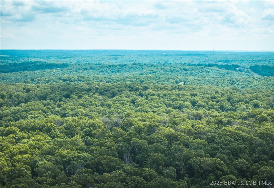 Springs-tract 1 Macks Creek Macks Creek, MO 65786 - Photo 14 of 24