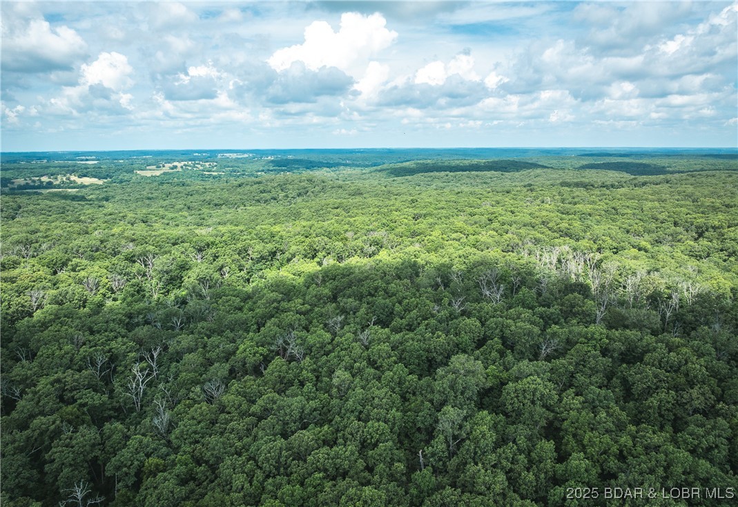 Springs-tract 1 Macks Creek Macks Creek, MO 65786 - Photo 15 of 24