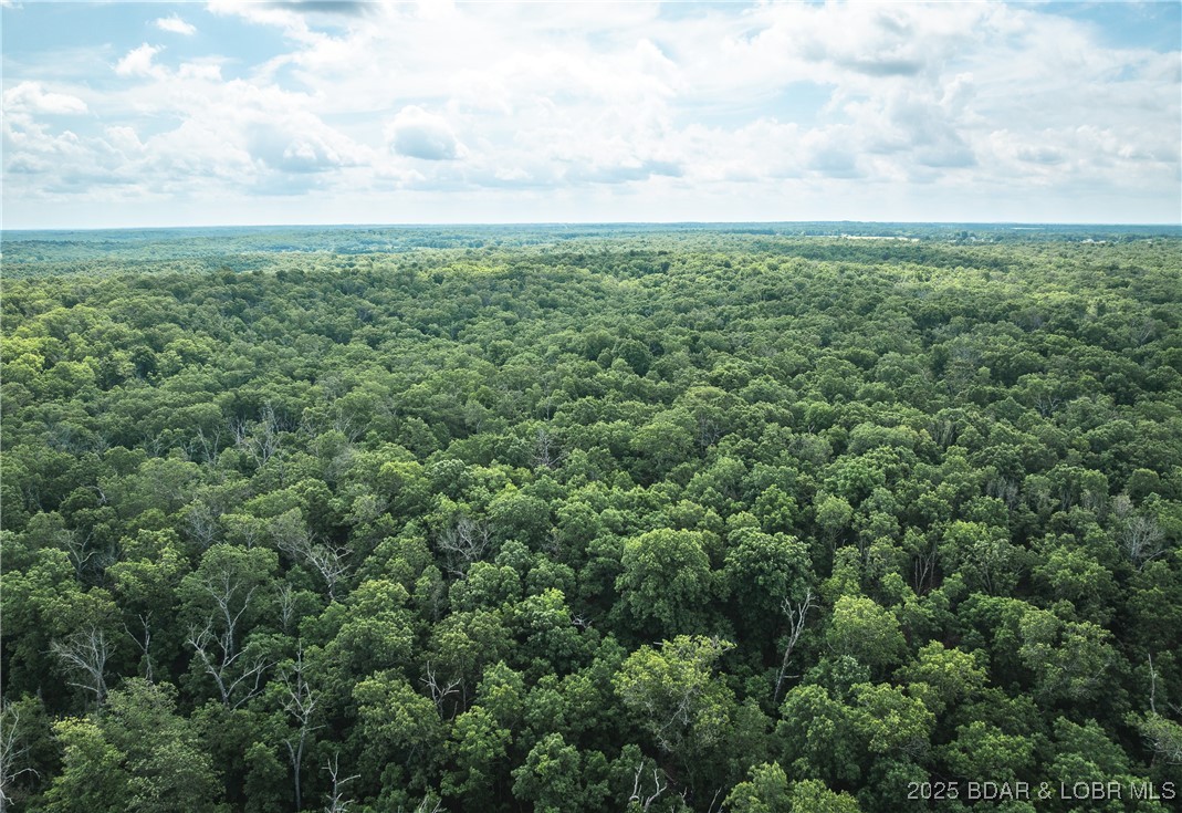 Springs-tract 1 Macks Creek Macks Creek, MO 65786 - Photo 16 of 24