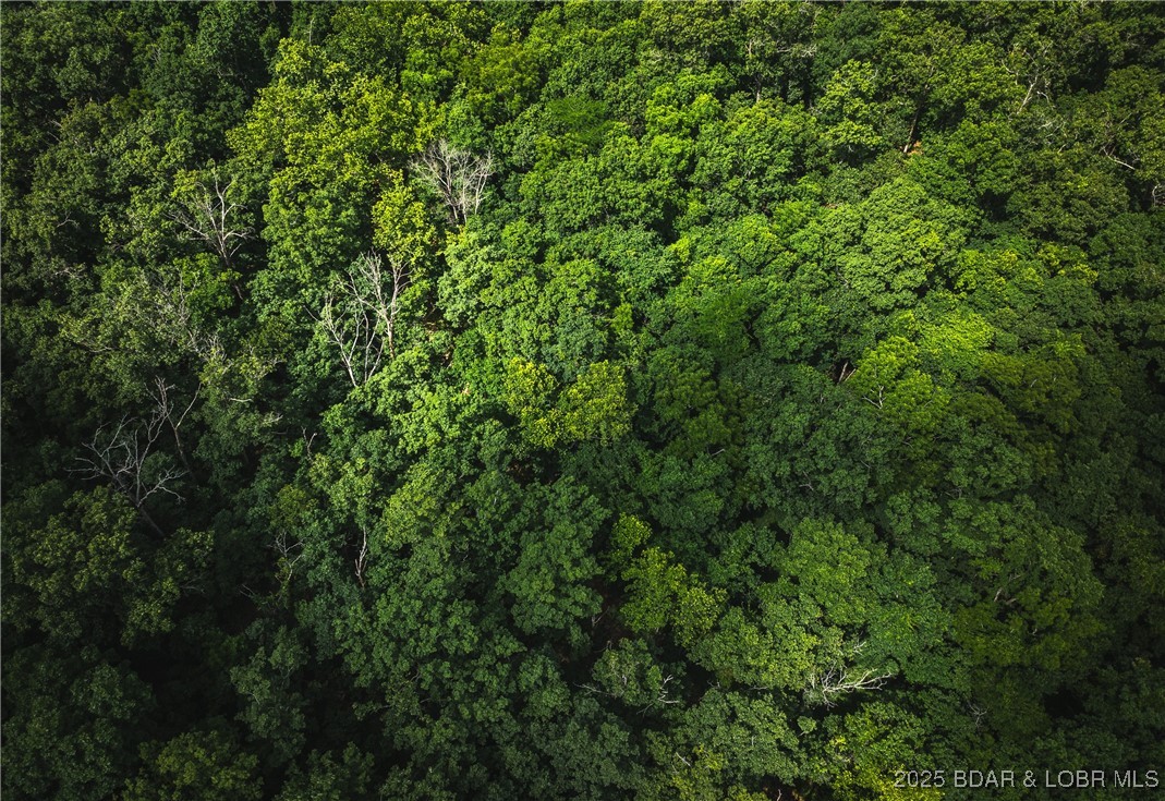 Springs-tract 1 Macks Creek Macks Creek, MO 65786 - Photo 17 of 24