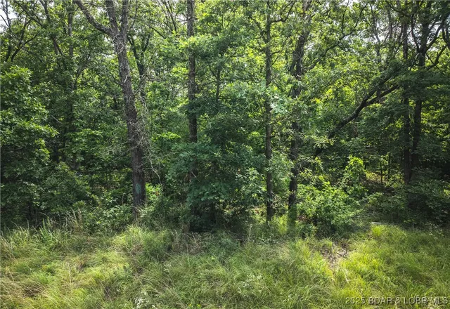 $504,000 | Springs-tract 1 Macks Creek, Macks Creek, MO 65786
