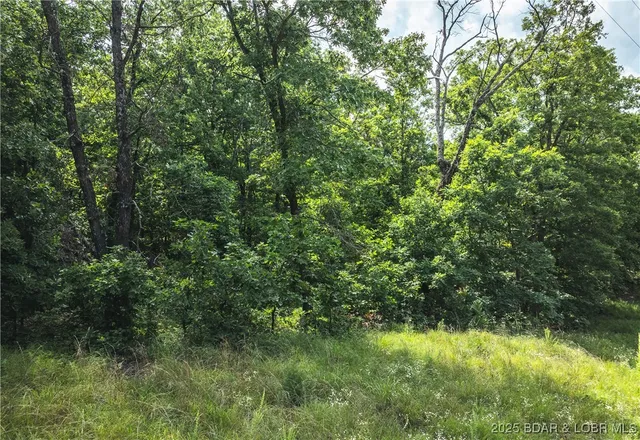 $504,000 | Springs-tract 1 Macks Creek, Macks Creek, MO 65786