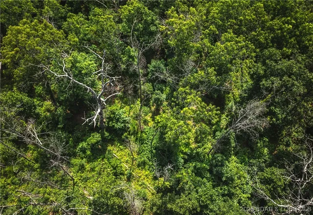 $504,000 | Springs-tract 1 Macks Creek, Macks Creek, MO 65786