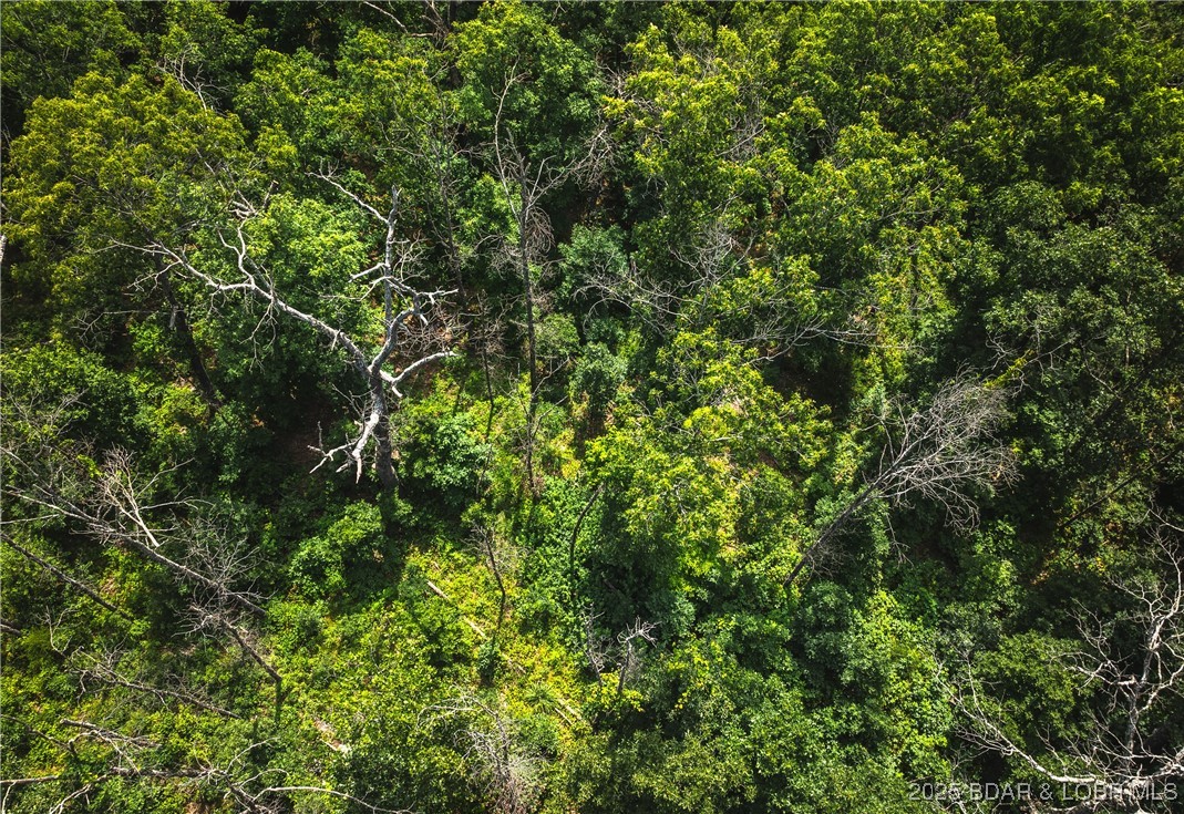 Springs-tract 1 Macks Creek Macks Creek, MO 65786 - Photo 22 of 24
