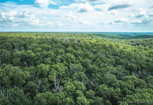 $504,000 | Springs-tract 1 Macks Creek, Macks Creek, MO 65786