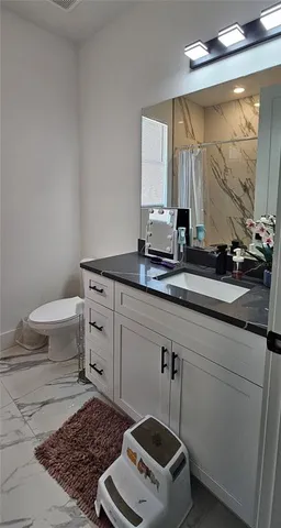 a bathroom with a sink a toilet and mirror