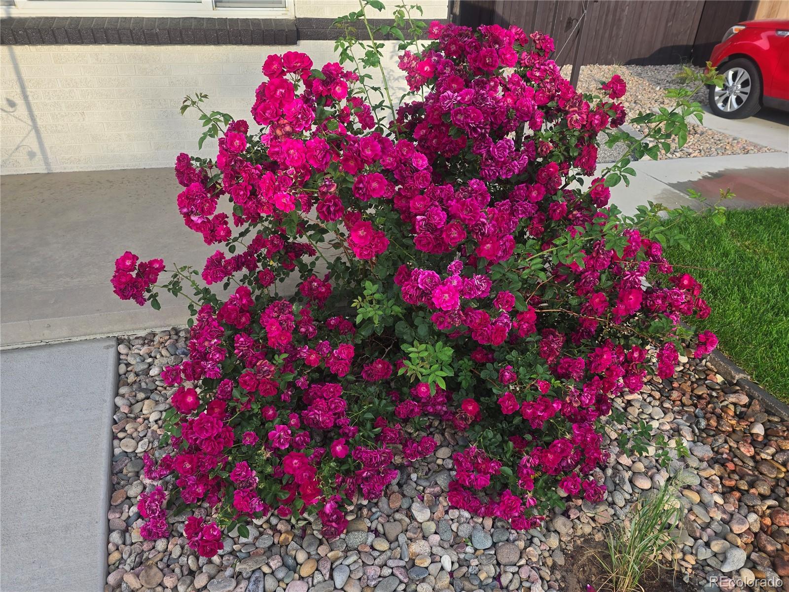 3540 Niagara Street Denver, CO 80207 - Photo 2 of 34