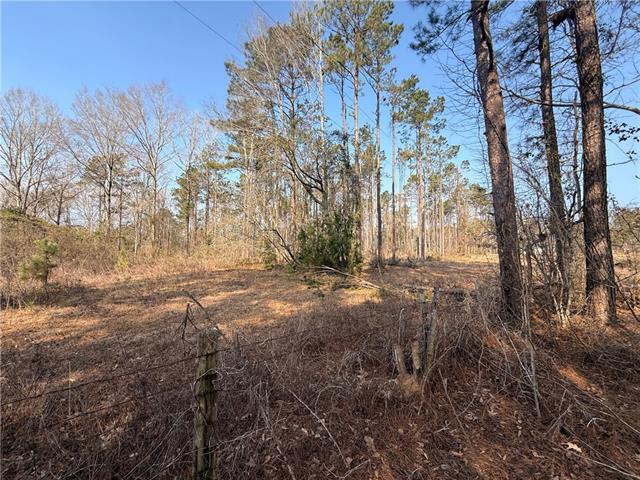 0 Fairfield Road Dry Prong, LA 71423 - Photo 2 of 6