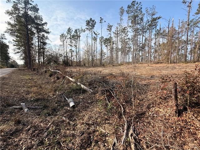 0 Fairfield Road Dry Prong, LA 71423 - Photo 4 of 6