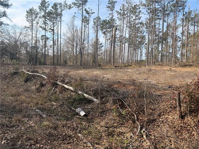 0 Fairfield Road Dry Prong, LA 71423 - Photo 5 of 6