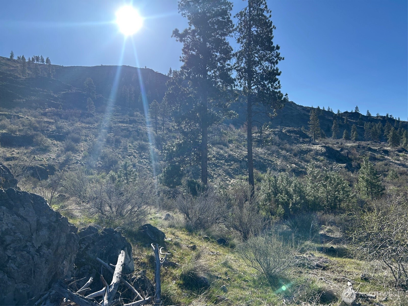 1669 Emerson Acrs Road Manson, WA 98831 - Photo 6 of 34