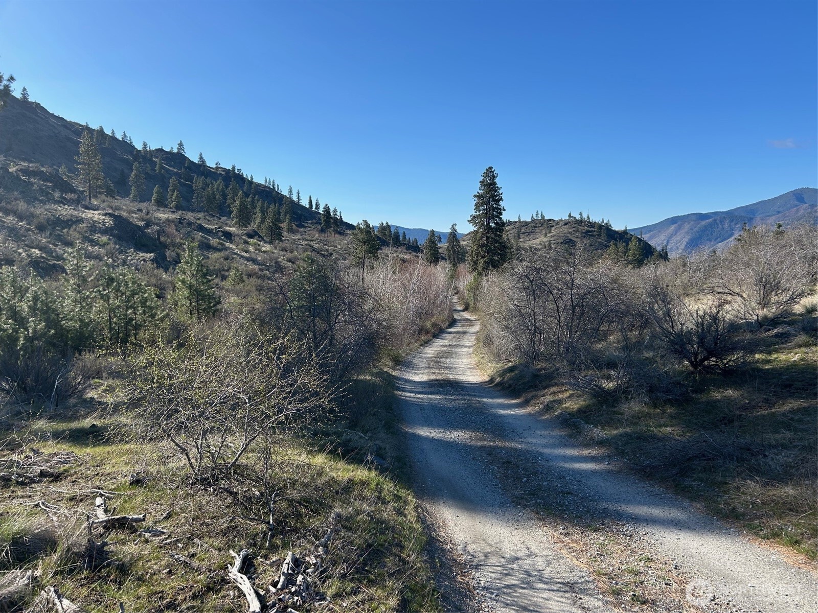 1669 Emerson Acrs Road Manson, WA 98831 - Photo 7 of 34