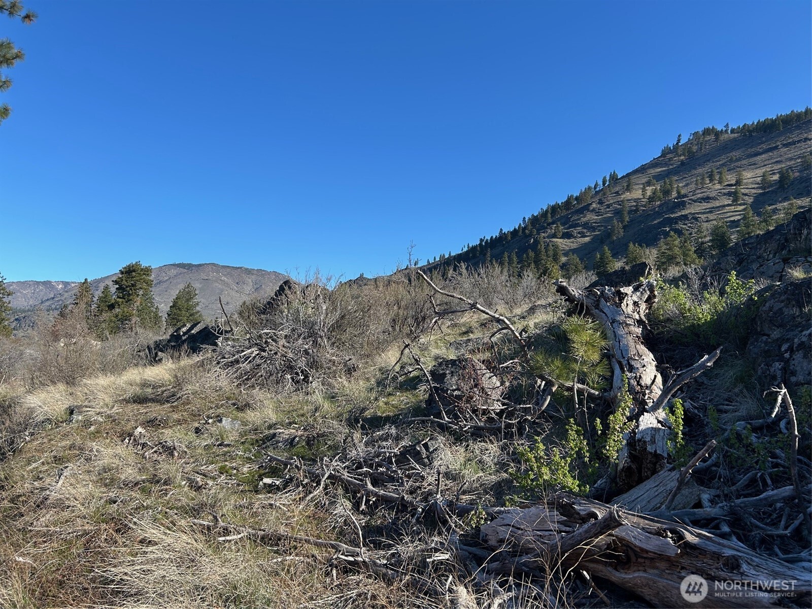 1669 Emerson Acrs Road Manson, WA 98831 - Photo 8 of 34