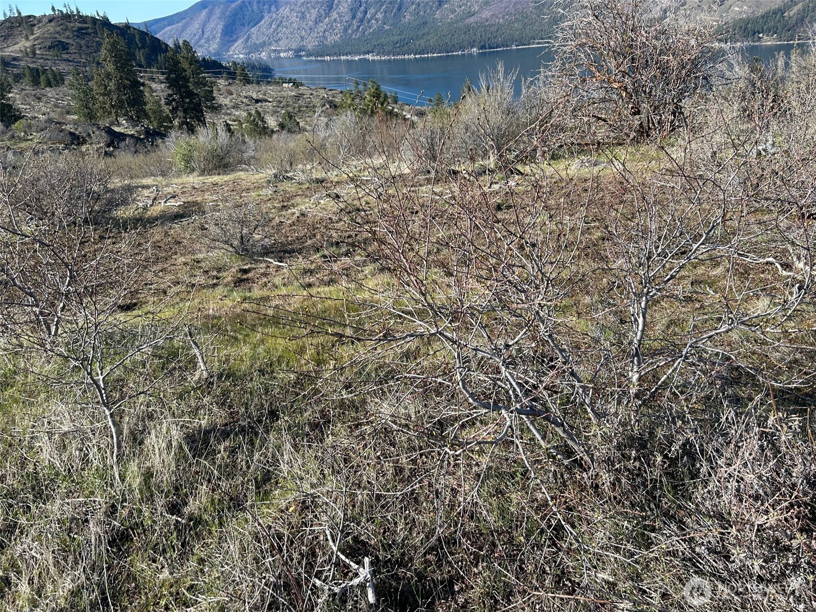 1669 Emerson Acrs Road Manson, WA 98831 - Photo 10 of 34