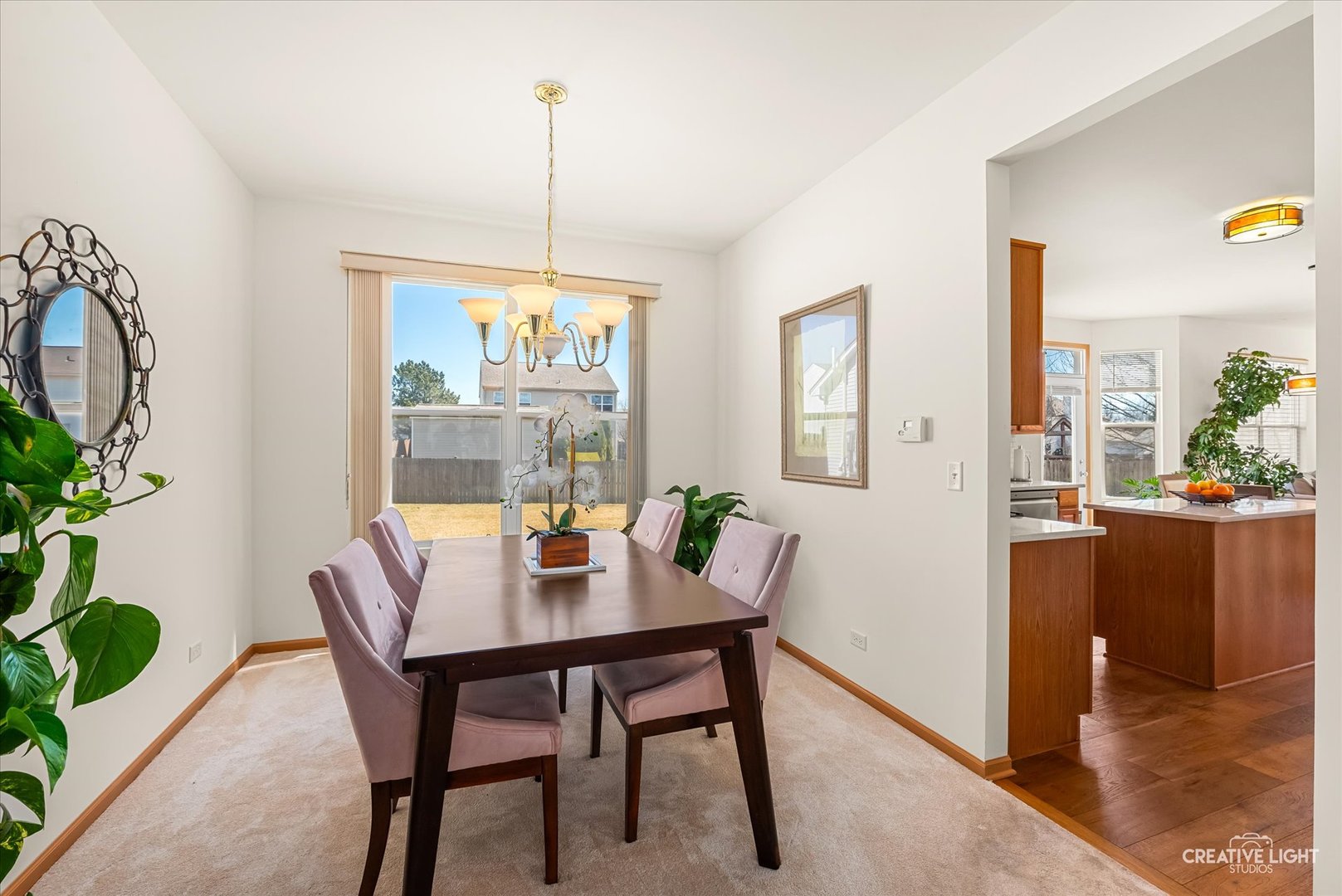 24336 Apple Tree Lane Plainfield, IL 60585 - Photo 13 of 39