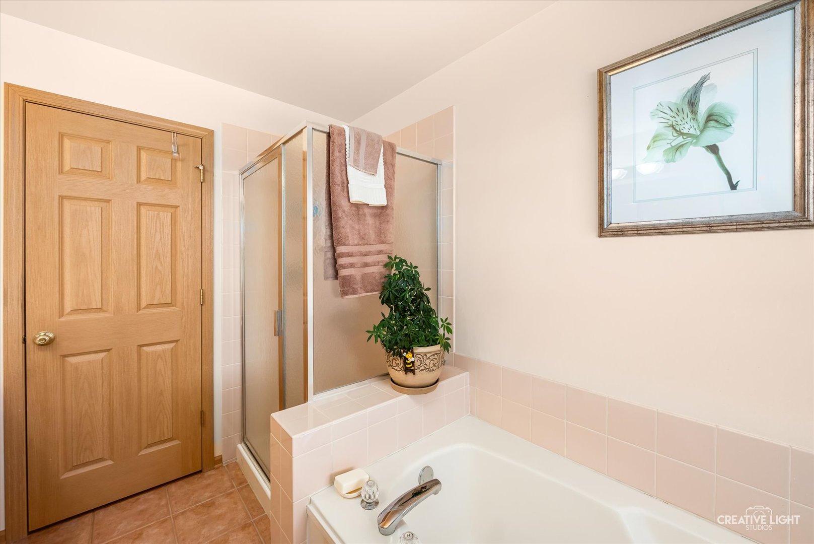 24336 Apple Tree Lane Plainfield, IL 60585 - Photo 21 of 39
