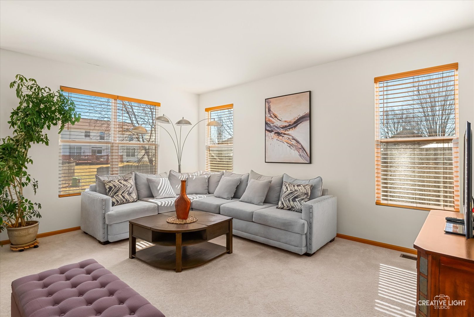24336 Apple Tree Lane Plainfield, IL 60585 - Photo 6 of 39