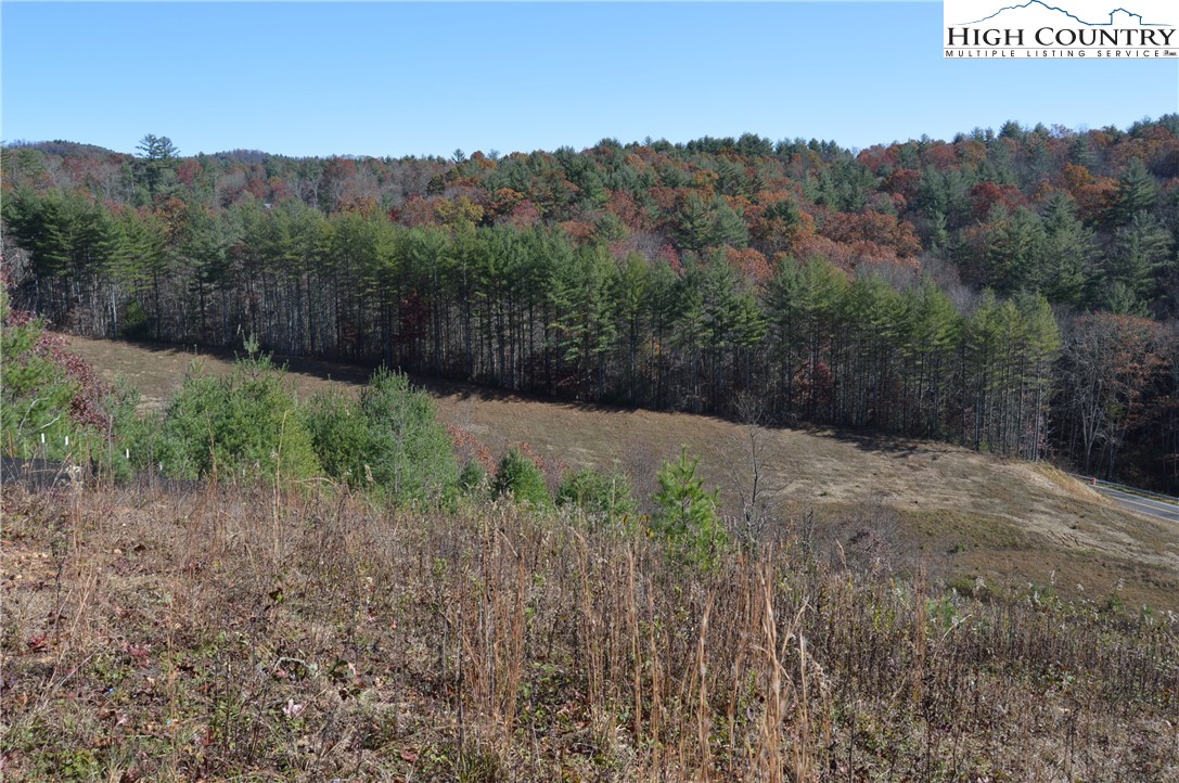 Savannah Ridge Road Fleetwood, NC 28626 - Photo 15 of 20 a view of a dry yard with trees in the background