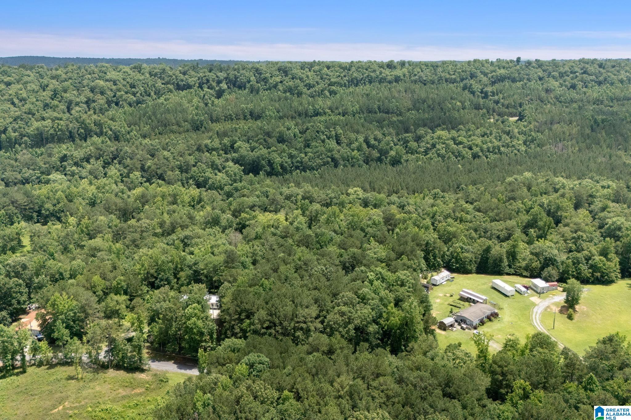 0 Waldrop Road, Unit 1 Ashville, AL 35953 - Photo 7 of 13