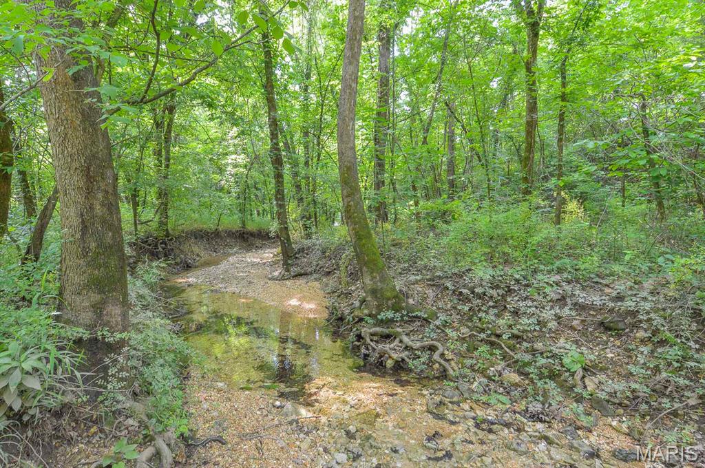 Tbb Tbb Barclay Springs Road Lebanon, MO 65536 - Photo 8 of 13