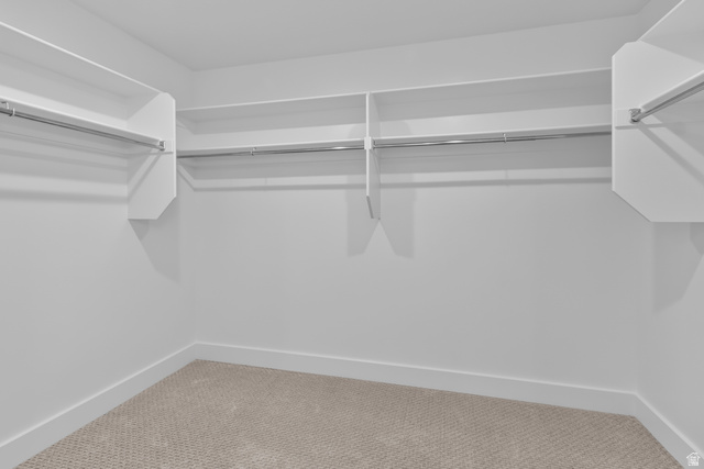 1213 West 500 South Logan, UT 84321 - Photo 17 of 29 Walk-in closet featuring white walls, white trim, and light beige carpeting