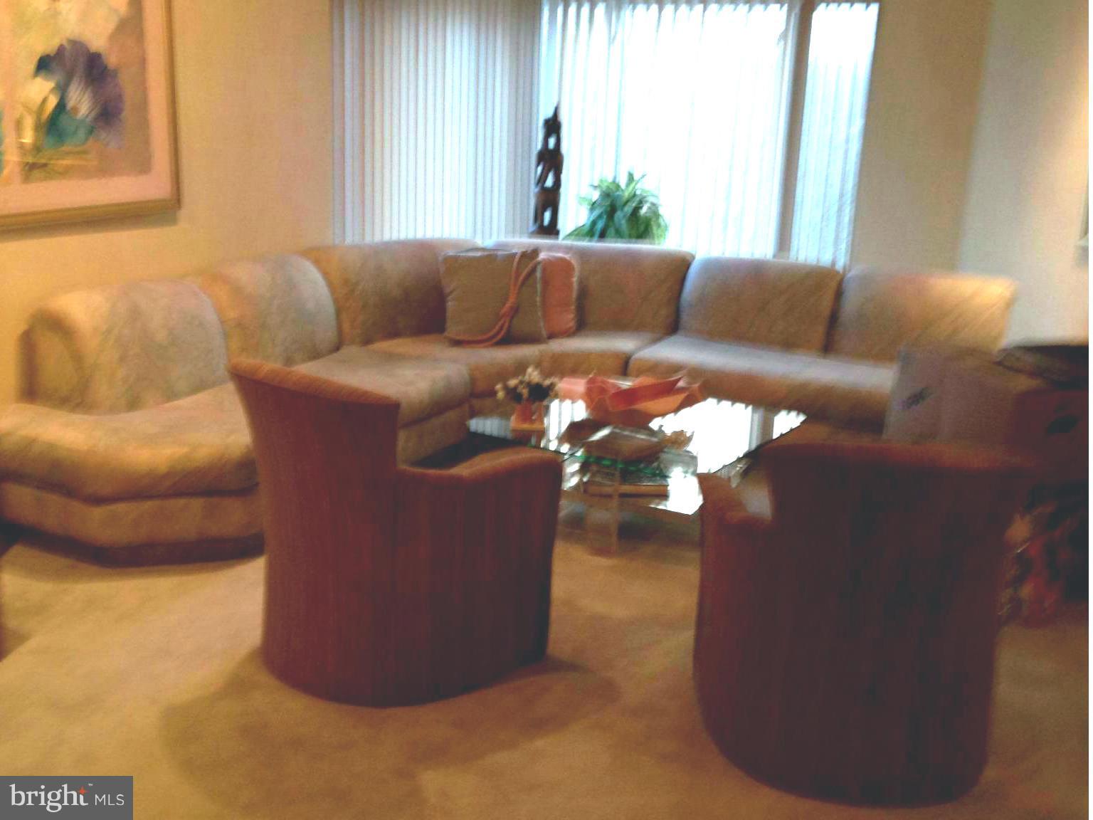 3031 Fallstaff Road, Unit 602C Baltimore, MD 21209 - Photo 5 of 13 a living room with furniture and a potted plant