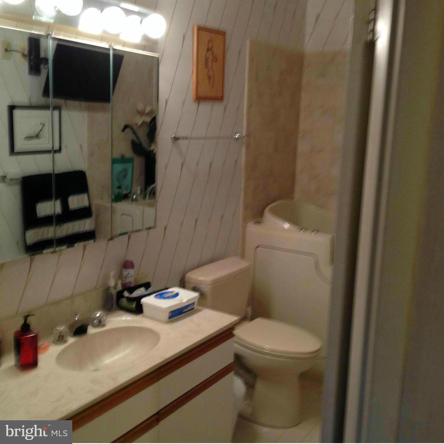 3031 Fallstaff Road, Unit 602C Baltimore, MD 21209 - Photo 8 of 13 a bathroom with a sink a toilet and a mirror
