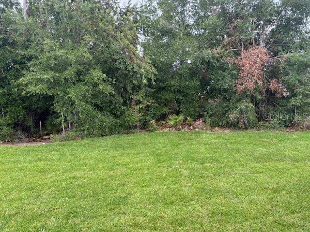 7637 Southwest 180th Circle Dunnellon, FL 34432 - Photo 12 of 23 a view of green field with trees in the background