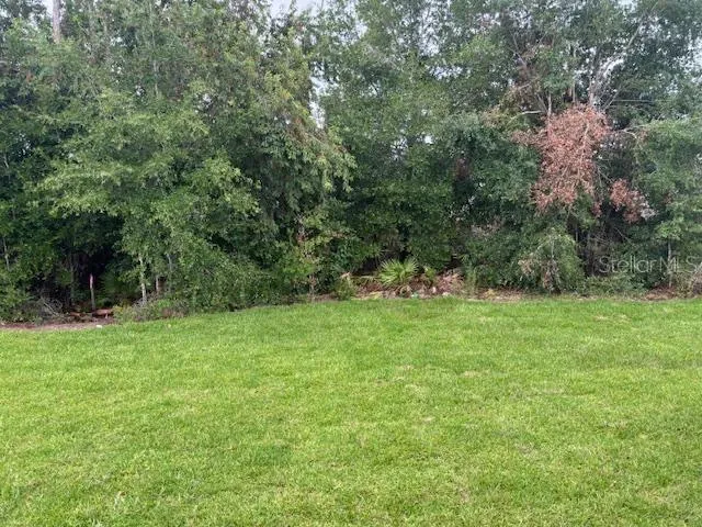 a view of green field with trees in the background