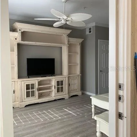 a glass door with a potted plant on it
